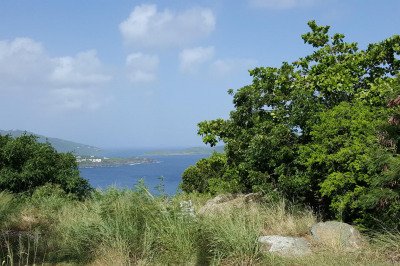 9-1-23 Peterborg Gns 1