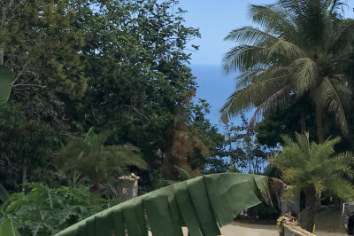 3 Re St. Peter Lns 1