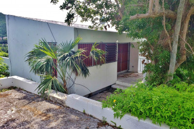 37a Thomas New 1