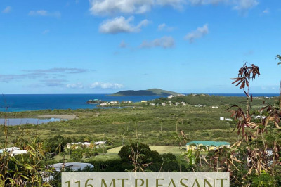 116 Mt. Pleasant Ea 1