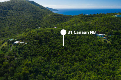 31 Canaan Nb 1