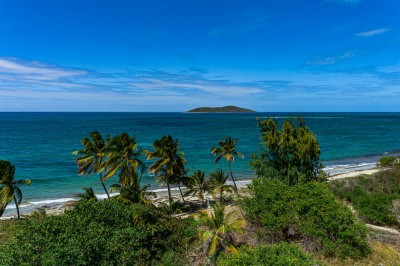 Rem21 Etal Green Cay Ea 1