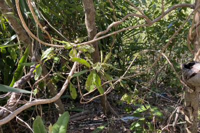 202 Little La Grange We 1