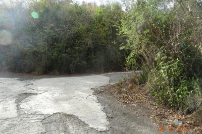 9 Orange Grove We 1