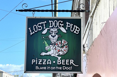 Lost Dog King Street Fr 1