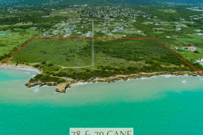 78, 79 Etc Cane Pr 1