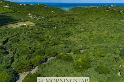 24 Morningstar Qu 1
