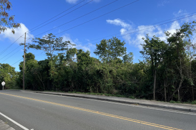151 Sion Hill Qu 1