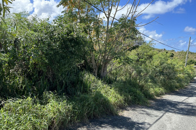 92 Mt. Pleasant Ea 1