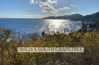 20a, 21a South Grapetree Eb 1