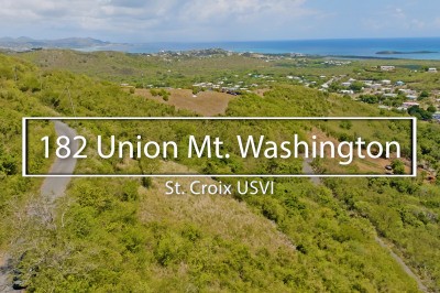 182 Union & Mt. Wash Ea 1