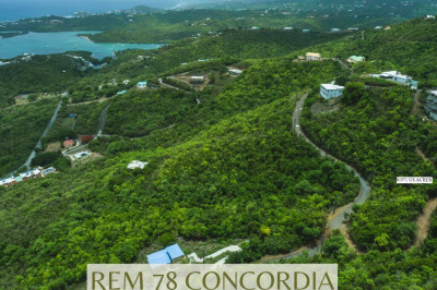 Rem 78 Concordia Nb 1