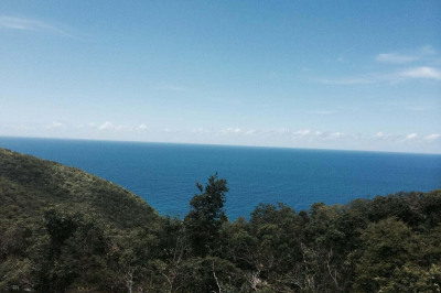 4-35 Botany Bay We 1