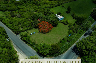 Rem 8z Constitution Hill Co 1