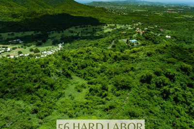 56 Hard Labor Pr 1