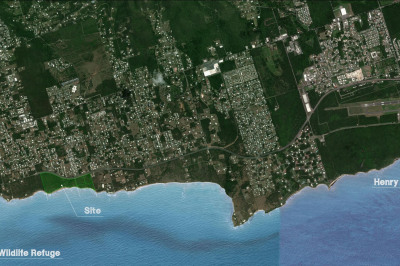 144 Whim (two Will) We 1