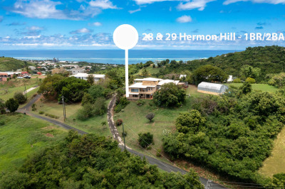 28 & 29 Hermon Hill Co 1