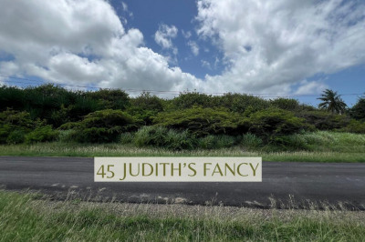 45 Judith's Fancy Qu 1