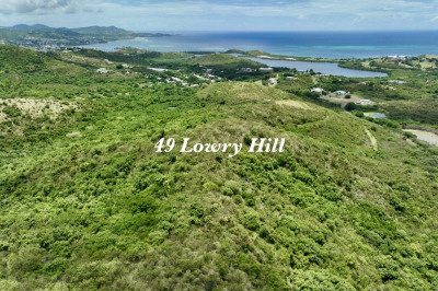 49 Lowry Hill Ea 1