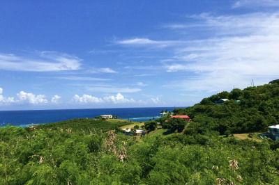 239 Cotton Valley Eb 1