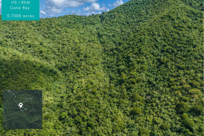 110-i Rem Cane Bay Nb 1