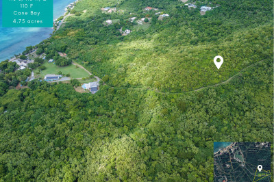 110 L,n,f Cane Bay Nb 1