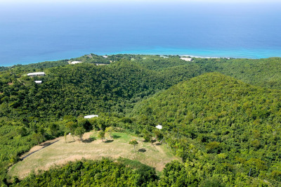 6 Butler's Bay We 1