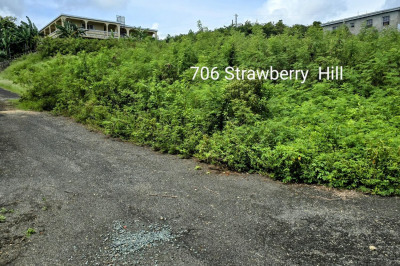 706 Strawberry Hill Qu 1
