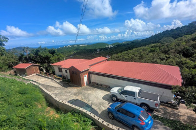 3-13 St. Joseph & Rosendahl Gns 1