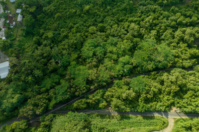 334 Grove Place Pr 1