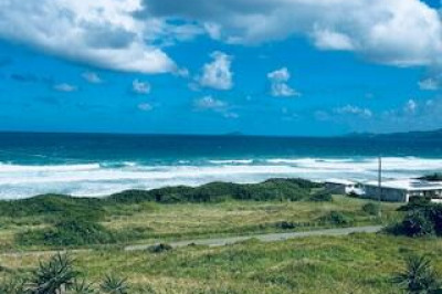 108 Judith's Fancy Qu 1