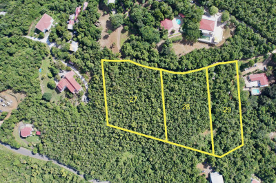 27,28, 29 Fortuna We 1