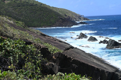 1,1a,b,c,d Bordeaux We 1