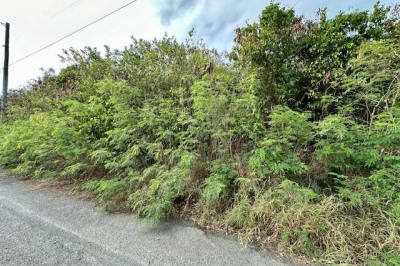 667 Strawberry Hill Qu 1