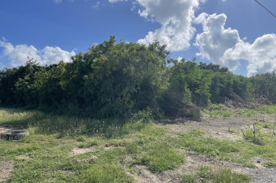 203 Enfield Green Pr 1