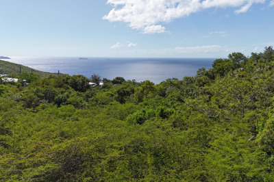 2e-50-b & Caret Bay Lns 1