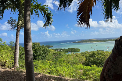 7, 7c Morningstar Qu 1