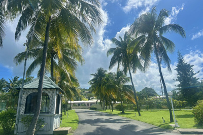 213 Golden Rock Co 1