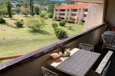 316 Golden Rock Co 1