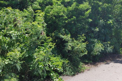 45-o Hannah's Rest We 1