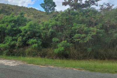 181 Union & Mt. Wash Ea 1