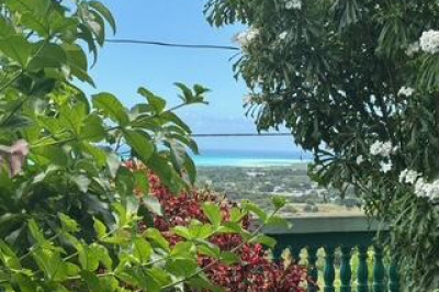 19s Whim (two Will) We 1