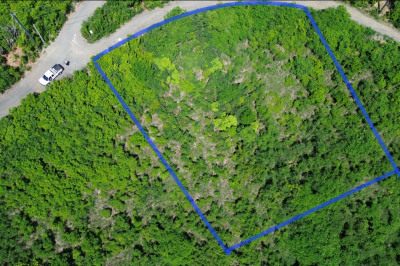 294 Union & Mt. Wash Ea 1