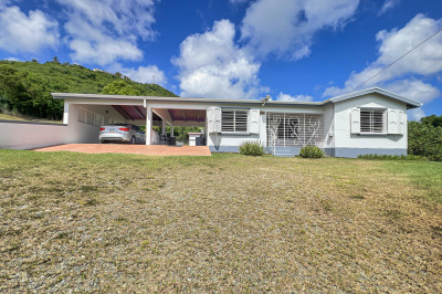 24-g Colquohoun Ki 1