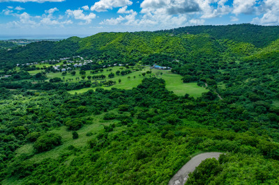 Rem Et Al Fountain Na 1