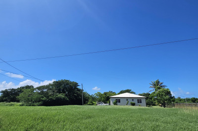 315 Enfield Green Pr 1