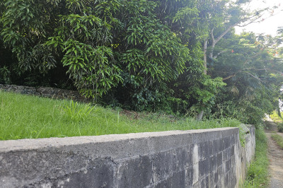 2e-23 Caret Bay Lns 1