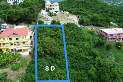 8 D Constitution Hill Qu 1