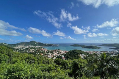 2-6 Agnes Fancy Gns 1