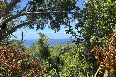 7-b Mt Washington We 1